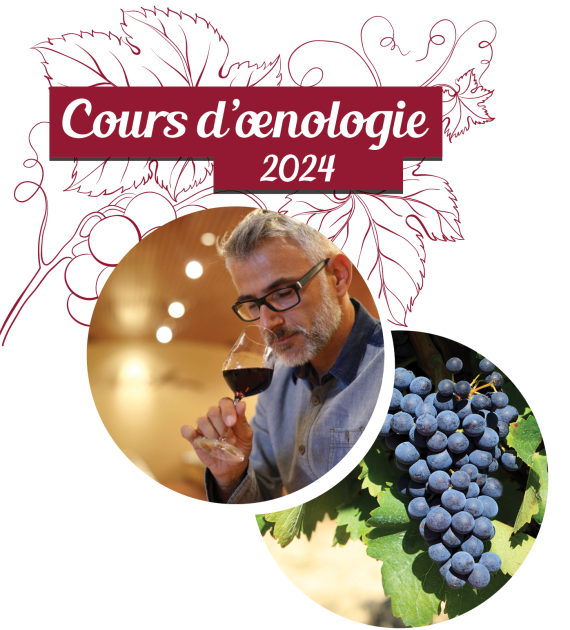 Cours d'Oenologie à Luxembourg : Grands vins de Bourgogne